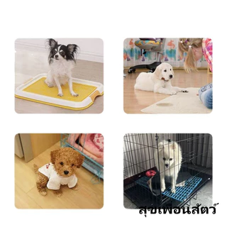 จัดส่งเร็ว สเปรย์ฝึกสุนัขฉี่ 🐶 ช่วยสอนให้น้องหมาขับถ่ายเป็นที่ 💧 ลดปัญหาฉี่ไม่เป็นระเบียบ 🏡 ปลอดภัย ใช้ง่าย 🐾