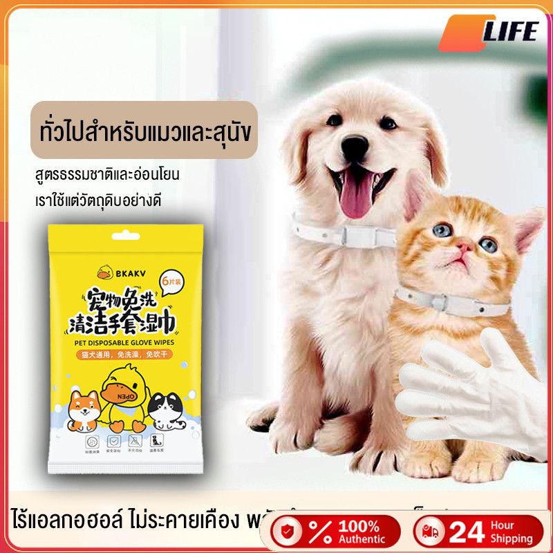 ถุงมือเช็ดตัวสุนัข แมว อาบน้ำสัตว์เลี้ยง ขจัดกลิ่นตัว ชุด6ชิ้น แบบพกพา เก็บเงินปลายทาง！
