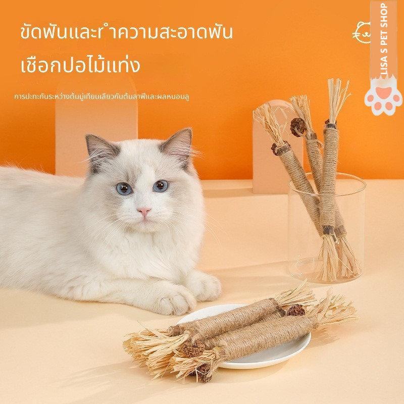 ไม้แทะฟันแมว มะม่วงหิมพานต์ ไม้ธรรมชาติ เชือกราฟิย่า ของเล่นแมว คลายเบื่อ เล่นเองได้ ทําความสะอาดฟัน 🐱🌿🦷