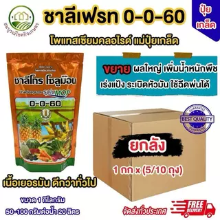 (ยกลัง 5/10 กิโลกรัม) ปุ๋ยเกล็ด ชาลีเฟรท 0-0-60 ขนาด 1 กิโลกรัม เร่งหัว เร่งแป้ง ขยายหัวมัน เร่งน้ำหนัก ระเบิดหัวมัน