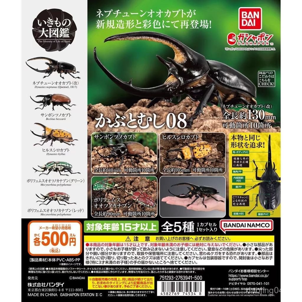 พร้อมสต็อก Bandai Gashapon Biological Big Illustrated Book Beetle 08 Poseidon Big Beetle เม็กซิกัน W