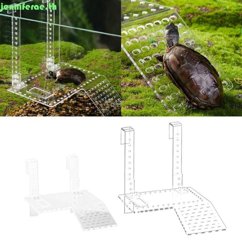 Jenniferae Reptiles Slope Turtle Basks Platform Turtle Resting Basking Platform Turtle Ramp
