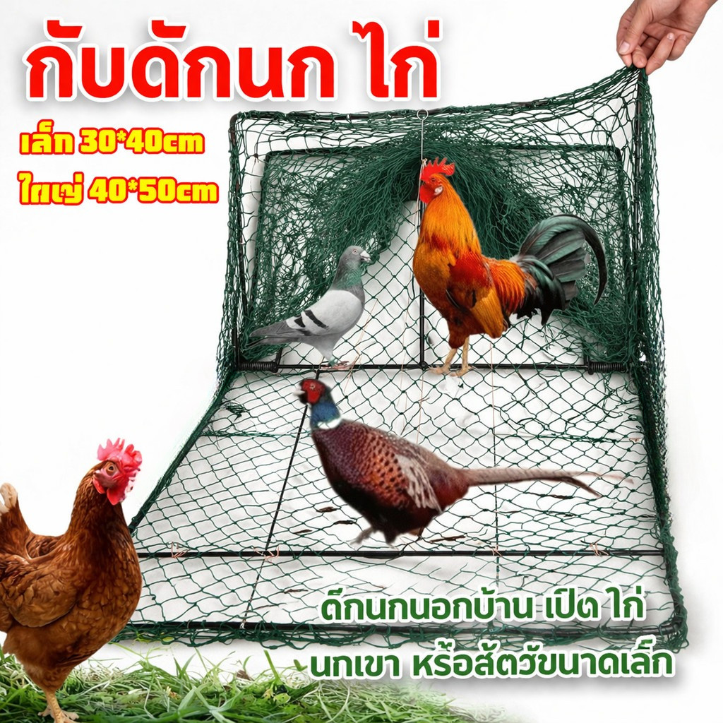 กับดักไก่แบบตาข่าย ดักนกทุกชนิด ตาข่ายดักนก ไนล่อน กรอบสแตนเลส ไม่สึกหรอง่าย ที่ดักจับสัตว์ จับสัตว์ปีก