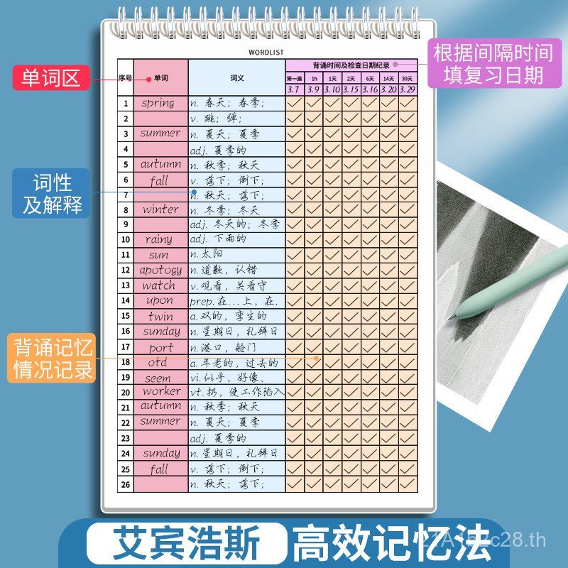 Square Partner Abin Hauss English Word Memory Book B5 Junior High School High School Word Book Stude