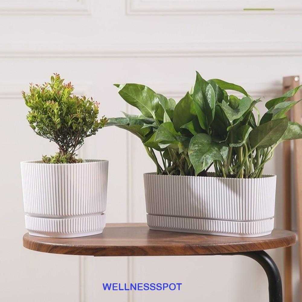 WELLNESSSPOT กระถางต้นไม้ไฮโดรโปนิกส์, แจกันตั้งโต๊ะพร้อมรูระบายน้ํารดน้ําด้วยตนเองกระถางดอกไม้, พลาสติกสองชั้นความจุขนาดใหญ่กระถางต้นไม้ขี้เกียจตกแต่งบ้านสํา