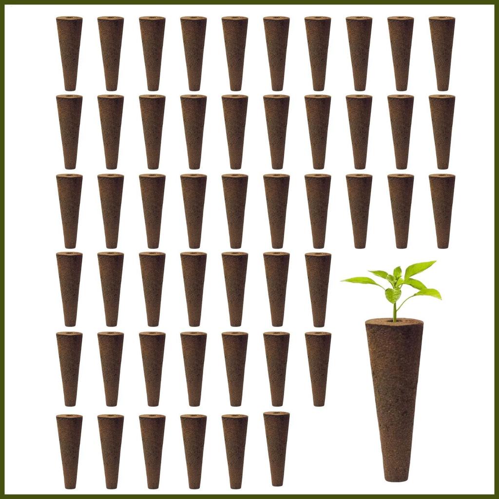 ฟองน้ํา Hydroponic Rooting Hydroponic อุปกรณ์ทําสวน 50 ชิ้นปลั๊ก Rooter Rapid สําหรับในร่มสําหรับโฆษ