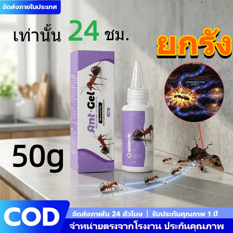 เจลกำจัดมดตายยกรัง 30g/50g กำจัดมดทุกชนิด เหยื่อมดแบบหยอดเข้าซอกมุมลึก ปลอดภัยใช้ในครัวและคอนโด เห็นผลไวส่งจากไทย COD