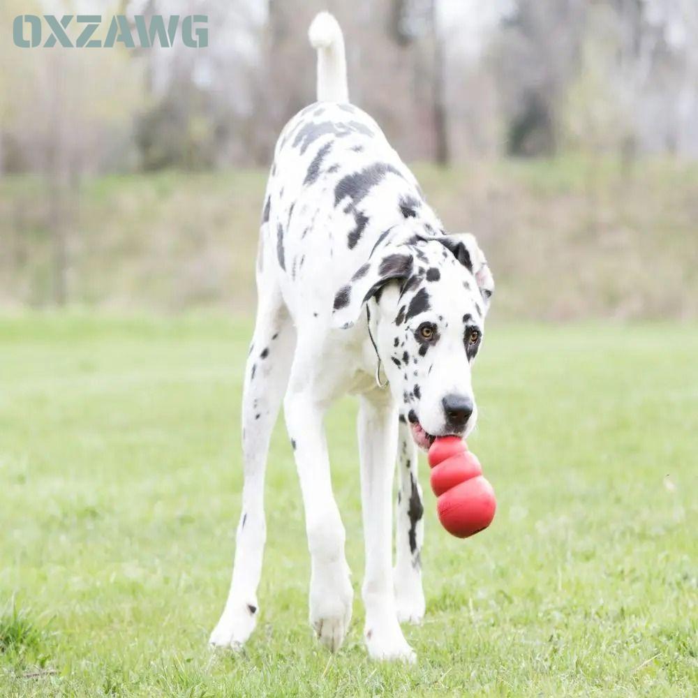 OXZAWG Kong Puppy Toys, Stuffable Treat-Filled Cappaities Kong ของเล่นสุนัข, 2024 Erratic Bounce ยาง