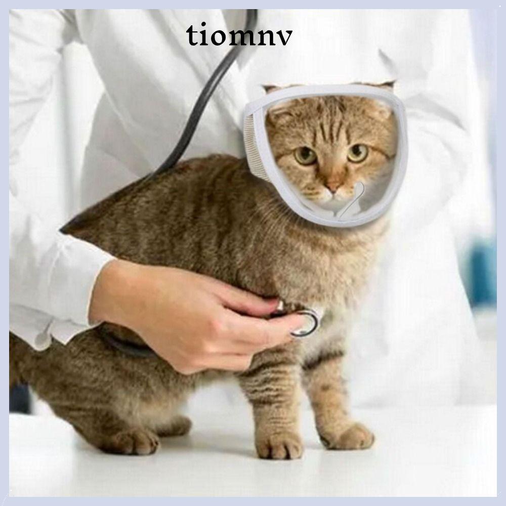 TIOMNVTH Cat Muzzle Puppy Kitten Chewing Safety Anti Bite Mouth Guard