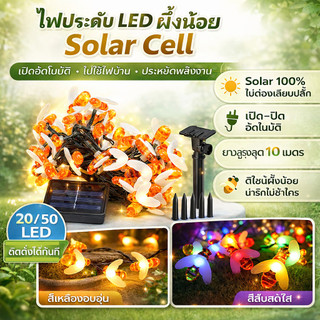 Zeazon ไฟประดับโซลาร์เซลล์ ลายผึ้ง LED กันน้ำ IP65 ใช้ตกแต่งสวน ร้าน คาเฟ่ | 20/50 ดวง แสงวอร์ม/สีรุ้ง