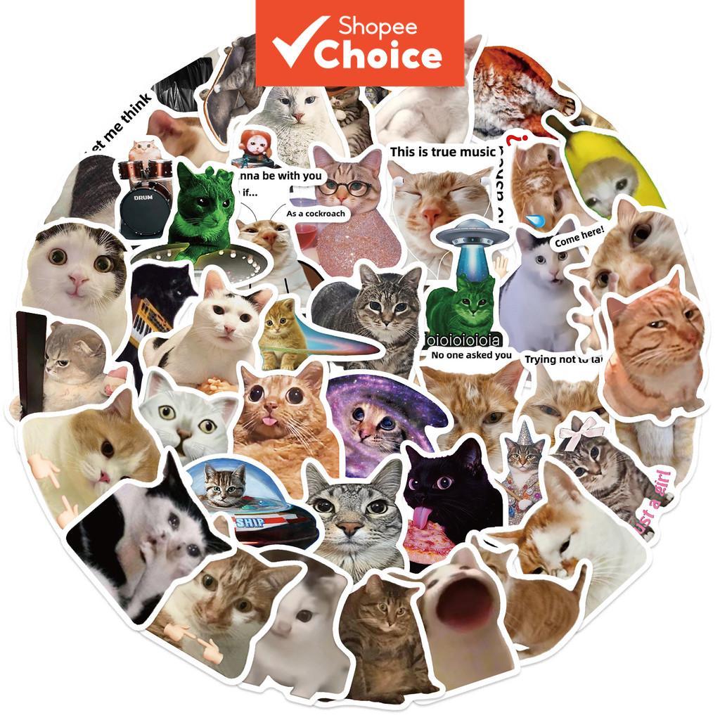 Viral Cat Meme สติกเกอร์น่ารัก 250 ชิ้น Kawaii สติกเกอร์โรงเรียนส่วนบุคคลสติกเกอร์กันน้ําสําหรับแล็ปท็อปสติกเกอร์โทรศัพท์สติกเกอร์ความงาม
