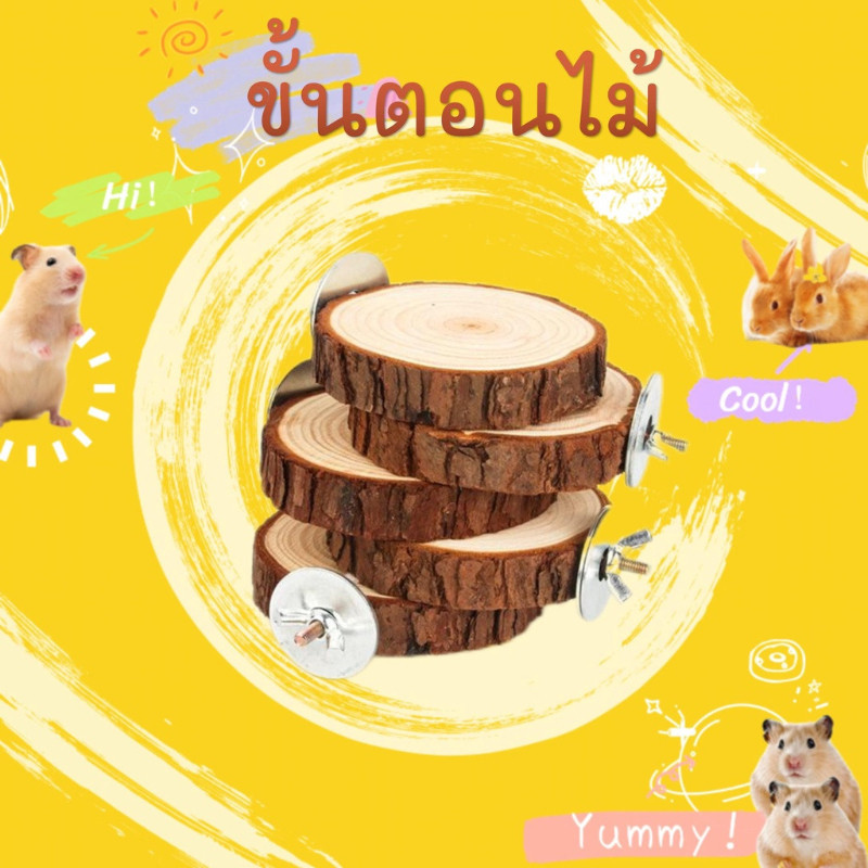 [sooangel]ที่นอนสำหรับแฮมสเตอร์ แท่นกระโดดไม้สำหรับสัตว์เลี้ยงขนาดเล็ก เก้าอี้ขั้นบันได อุปกรณ์จัดสวนและตกแต่ง