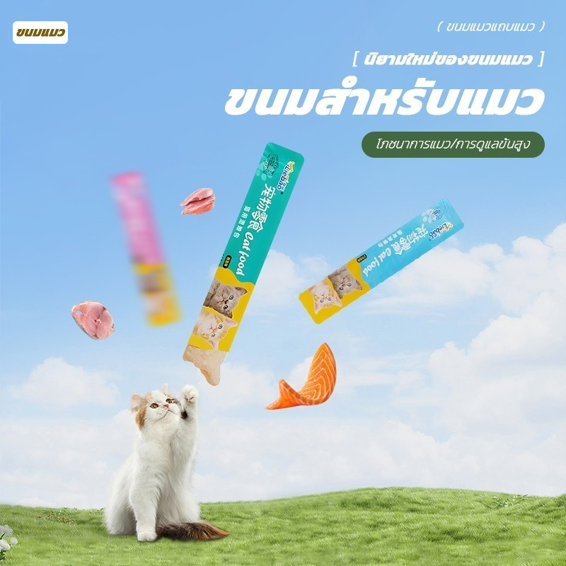 รูปภาพ 9