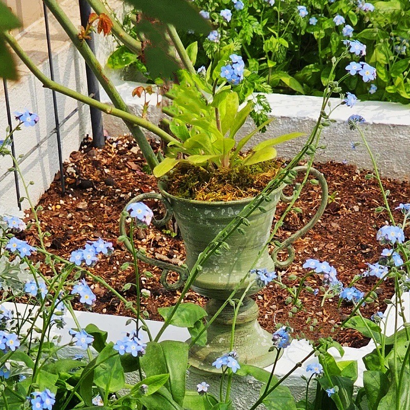 Cross-Border Villa Courtyard Trophy กระถางดอกไม้ตกแต่งสวนหม้อ B & BB ระเบียงดอกไม้ชุดหม้อสวน Groceri