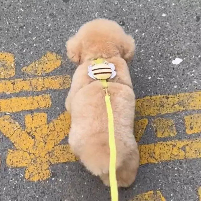 สายจูงสุนัขสำหรับสุนัขขนาดเล็ก เท็ดดี้ บิชอน รุ่น 20260414 thumbnail 3