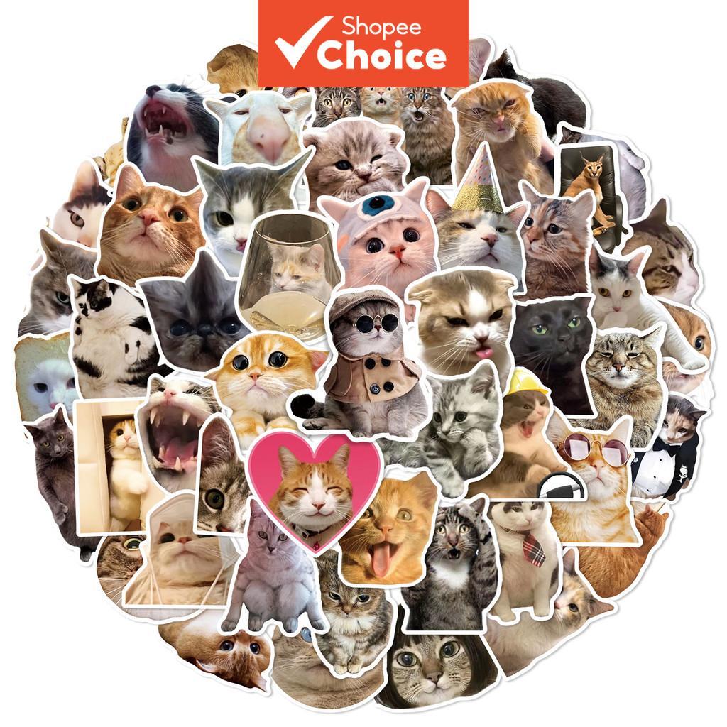 ชุดสติกเกอร์ใบหน้าลูกแมวสุดน่ารัก 50 ชิ้น x 5 แพ็ค - สติกเกอร์ไวนิลกันน้ํา ทนทาน สําหรับตกแต่งขวดน้ํา สมุดโน้ต และอุปกรณ์เทคโนโลยีอย่างสร้างสรรค์