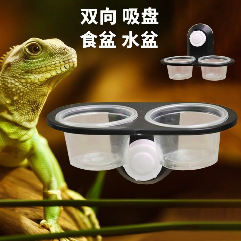 Lizard สัตว์เลื้อยคลาน Dual-ใช้น้ําอ่างล้างหน้าอาหารขนตา Gecko โต๊ะให้อาหาร Beetle Jelly ตารางผักอ่า