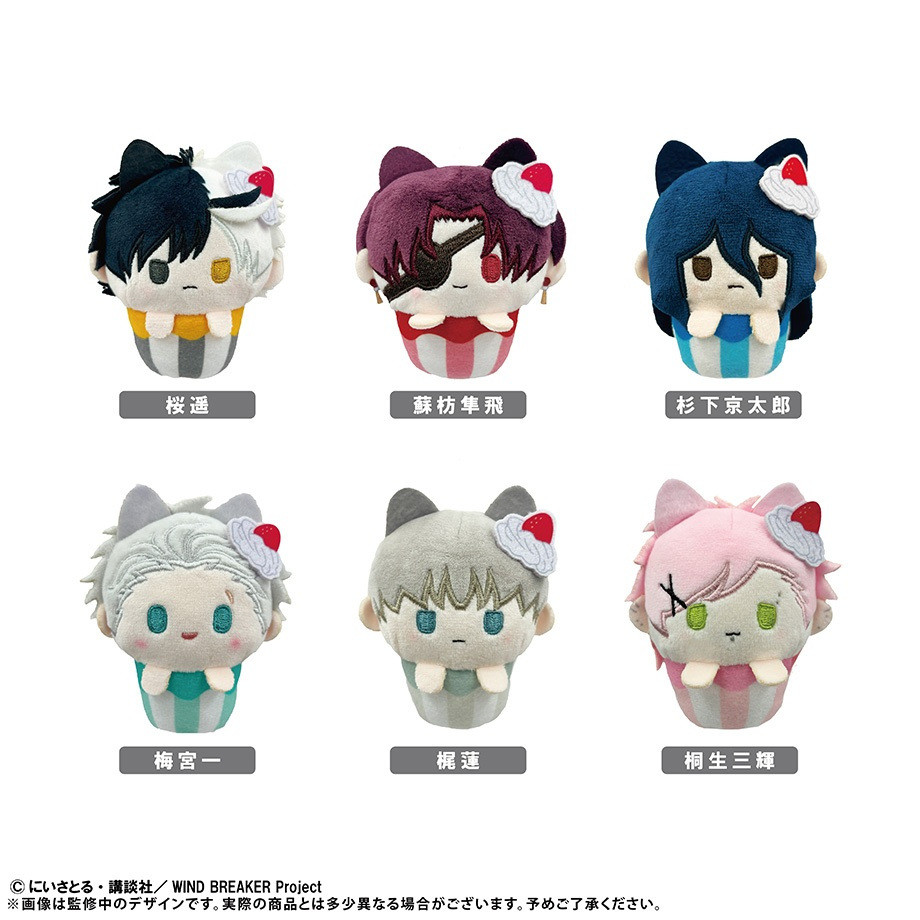 (📌PRE-ORDER) WIND BREAKER CUPCAKE Tapinui Random Box Cupcake Tapinui Wind Breaker