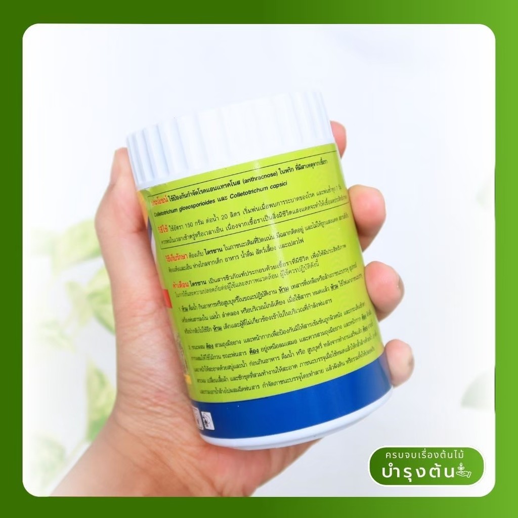 มุมมอง 2