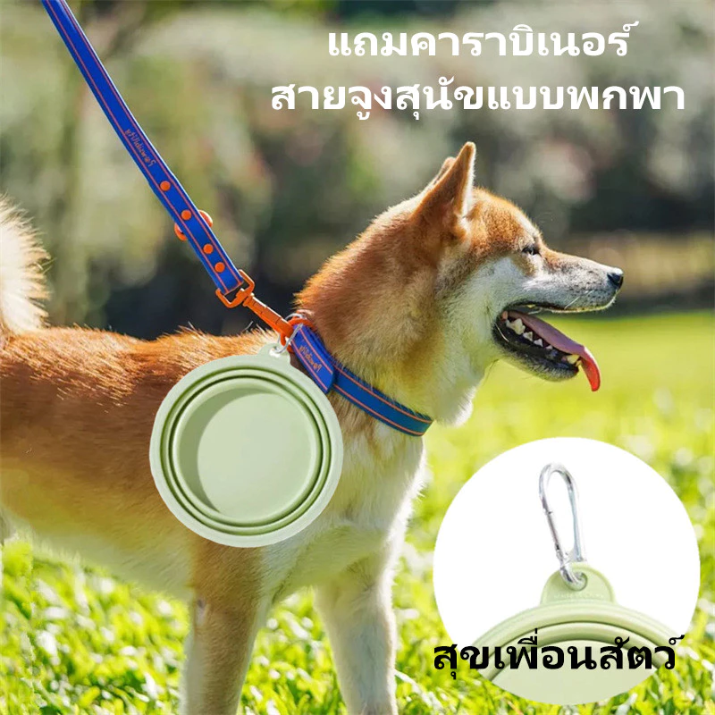 ✨จัดส่งรวดเร็ว 🚚🥤 ชามพับได้สำหรับสุนัข | ชามซิลิโคนพกพา ออกนอกบ้าน เดินทาง ท่องเที่ยว | ชามน้ำ & ชามอาหารสัตว์เลี้ยง 🐶⛺
