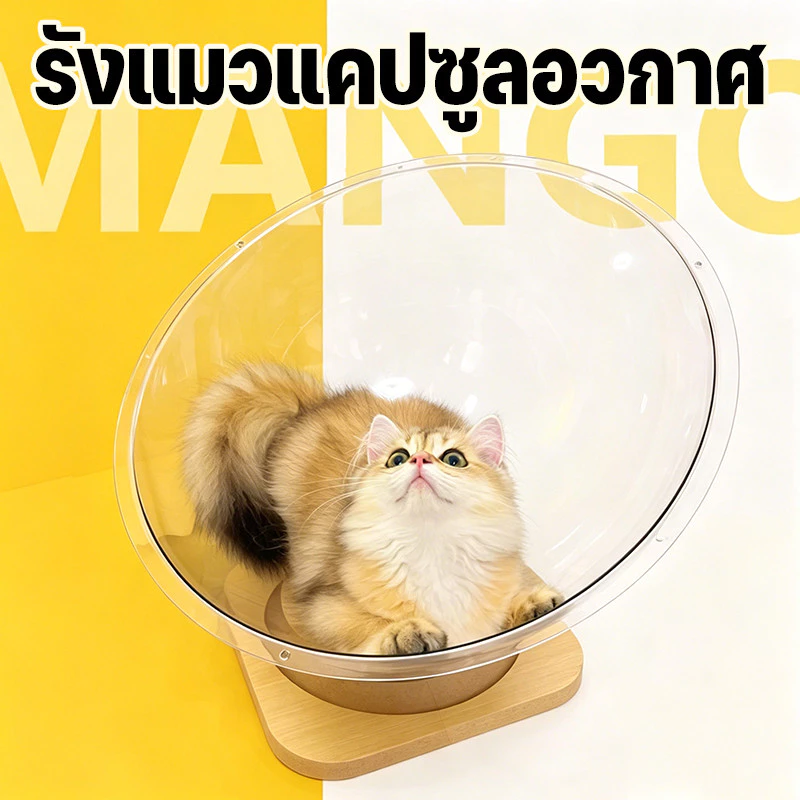 Mango บ้านแมว คอนโดแมว หมุนได้ รังแมวแคปซูลอวกาศ ที่นอนสัตว์เลี้ยง หลุมอวกาศ ของเล่นแมว จานเสียงไม้เนื้อแข็งอะคริลิค