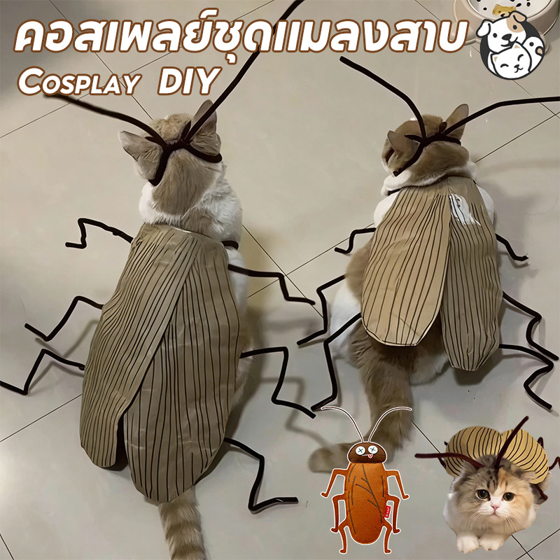 Cat คอสเพลย์ชุดแมลงสาบ DIY เสื้อผ้าสัตว์เลี้ยงแมลงสาบ ยังไม่เสร็จกับแมลงสาบปีกเสื้อผ้าแมวตลก ทำด้วยมือ