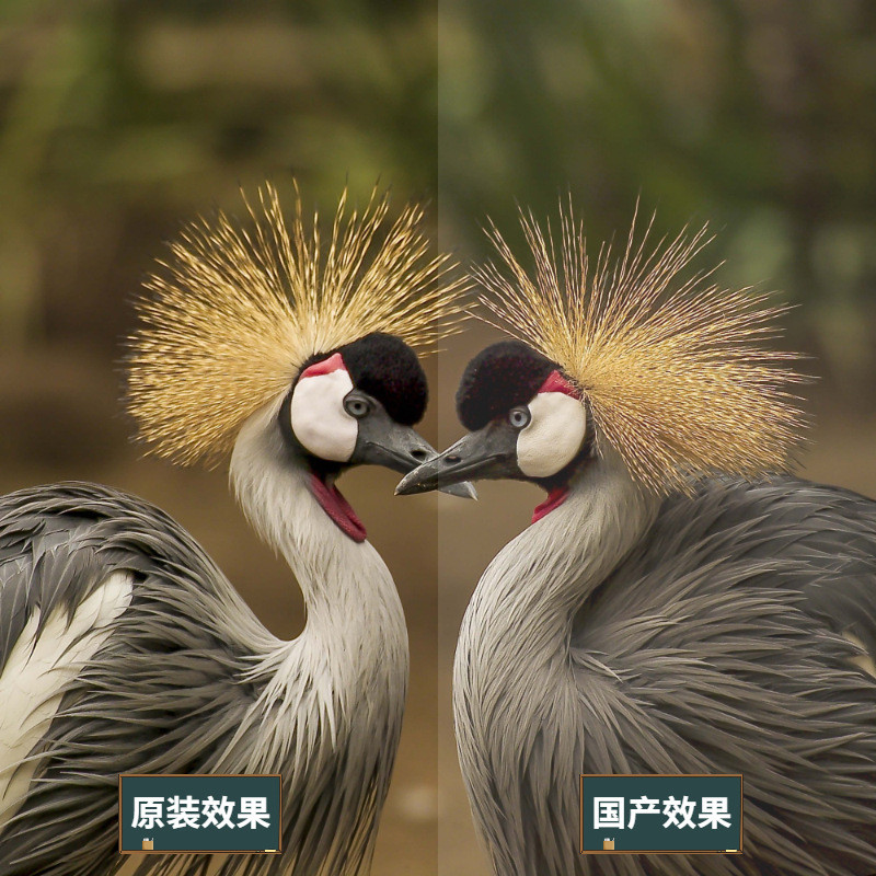 เหมาะสําหรับ Mingji W1070 W1080ST หลอดไฟโปรเจคเตอร์ P-VIP210W 0.8 E20.9H พร้อมขาตั้งไฟ