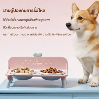 ชามแมวชั้นวางชามคู่ ชามสัตว์เลี้ยงป้องกันแมลงและมด ชามแมวสแตนเลสความจุขนาดใหญ่ ป้องกันการล้ม