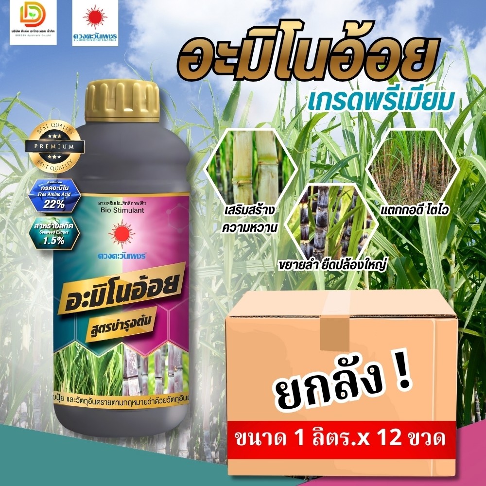 (ยกลัง1L*12) อะมิโนอ้อย สูตรบำรุงต้น อะมิโน 22%+สาหร่ายสกัด 1.5% แตกกอดี โตไว #ดวงตะวันเพชร