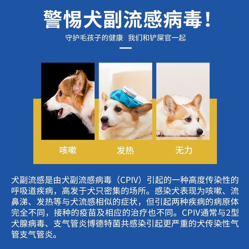 Snot Dog Physical Examination เครื่องทําความร้อนการ์ดเย็นตรวจสอบสัตว์เลี้ยง Powerless Flu Virus คู่ส