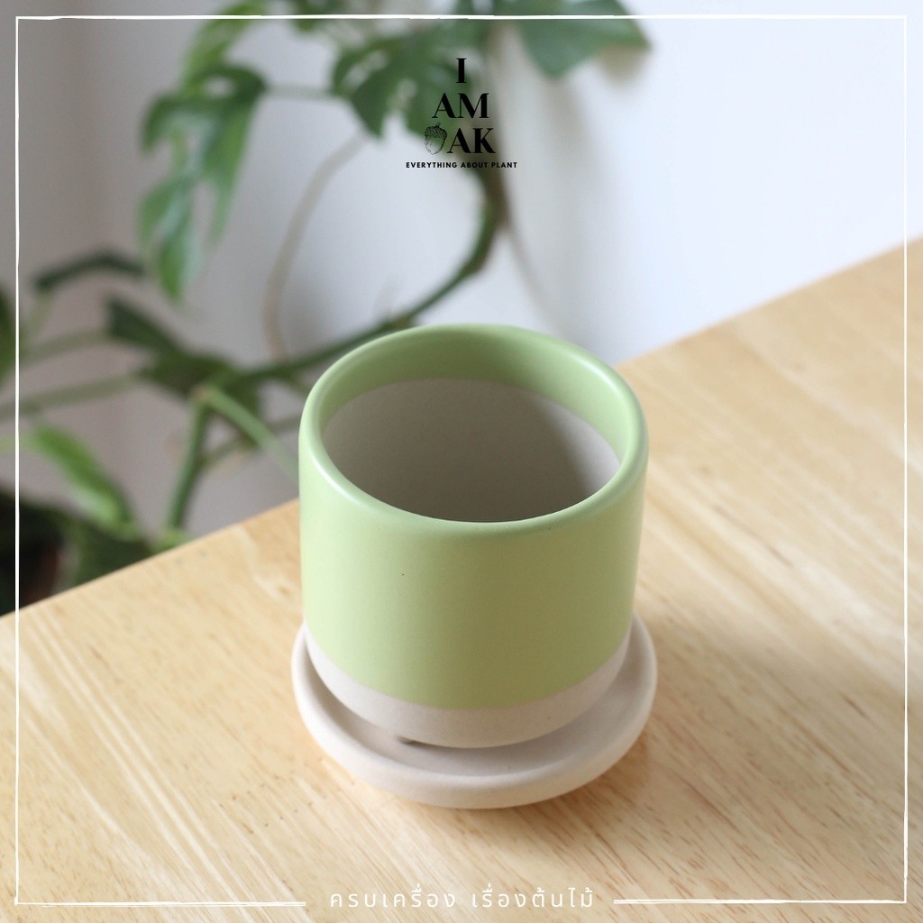 มุมมอง 3