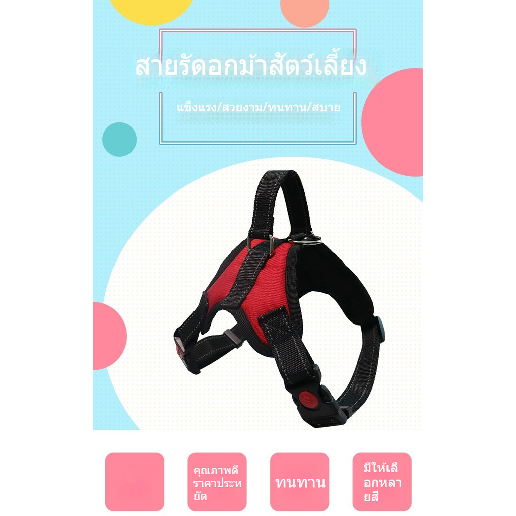 🔥 พร้อมส่ง | ปลอกคอสุนัข สายรัดอกสัตว์เลี้ยง | สำหรับสุนัขเล็ก กลาง ใหญ่ แข็งแรง ทนทาน 🐶🦴