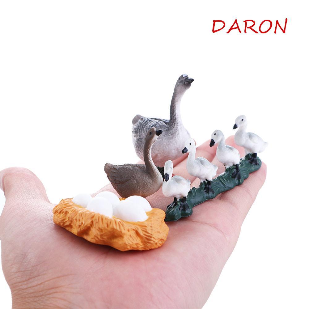 DARON Life CYCLE ตัวเลขเด็ก 4 ชิ้น/เซ็ต Swan รุ่น Cock สัตว์ปีก Growth CYCLE ของเล่นเพื่อการศึกษารอบ