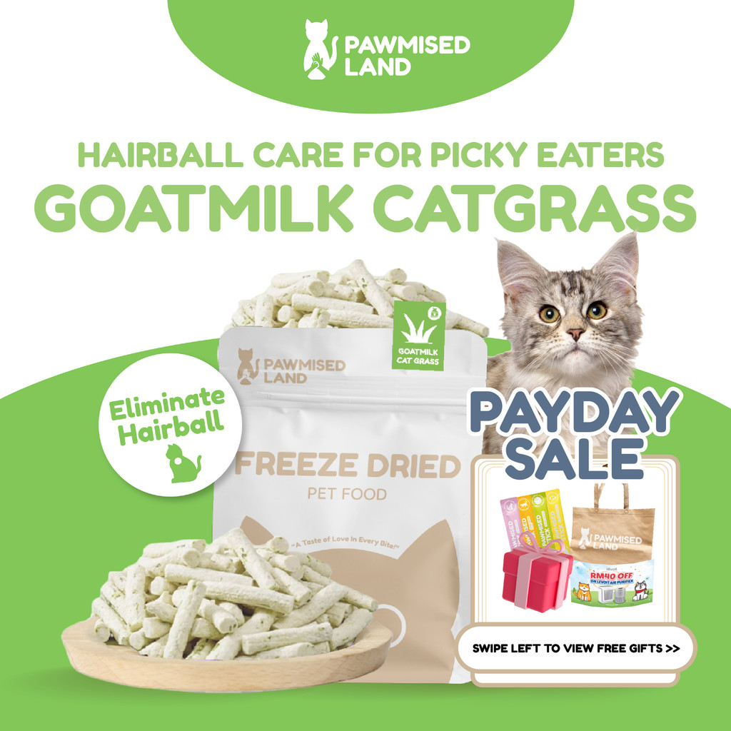 PawmisedLand Catty Munchies - Goatmilk Catgrass - ฟังก์ชั่นซีรีส์ - ฟรีซดราย 125g อาหารสัตว์เลี้ยง อ