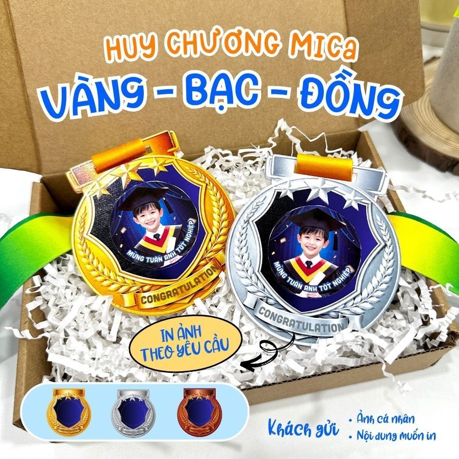 GOLD - SILVER - BRONZE MICA MEDAL สําหรับพิมพ์ภาพในการขอ