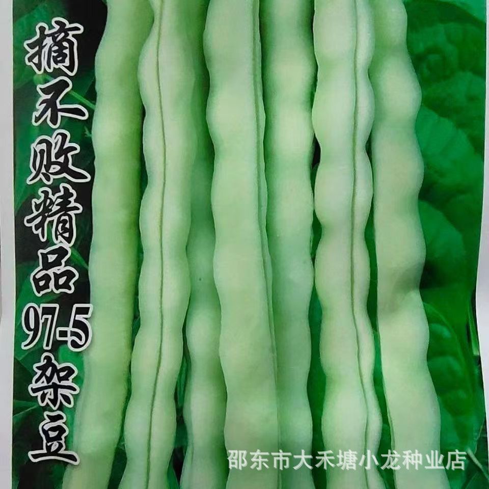 *现货*摘不败精品97-5架豆王种子高产早种熟四季豆角种子春秋播蔬菜种子Pick the unbeatable premium 97-5架 Bean King seeds – tall.2026041