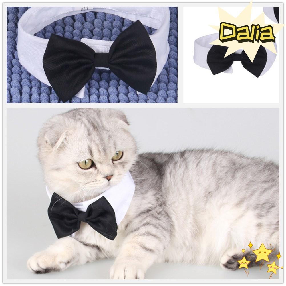 DALIA Cat Tuxedo Collar แมวลูกแมว Puppy Grooming อุปกรณ์เสริมสัตว์เลี้ยงอย่างเป็นทางการ Tuxedo