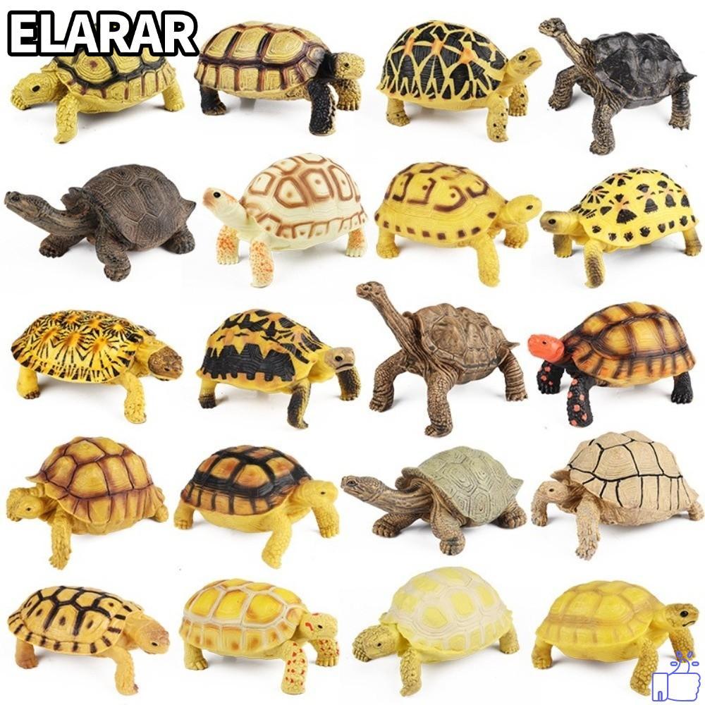 เอลรา‌R Star Turtle, Animal Shape Model Figurines ตุ๊กตาเต่า, ตุ๊กตาสัตว์ PVC ประติมากรรมละเอียด Geochelone รุ่นของเล่นเด็ก