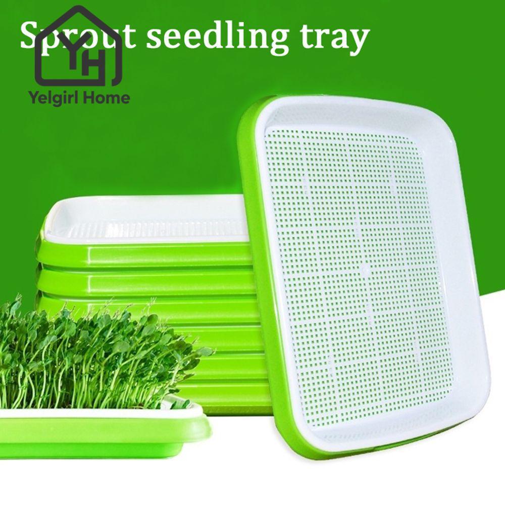 Yelgirlb Grow Nursery Pots Home Garden Hydroponic ถาด Soilless Plant Box