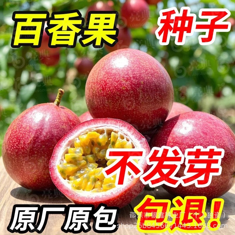 现货热卖百香果种子鸡蛋果甜香紫百香果种籽水果种子原装四季蔬菜种子大全Passion fruit seeds, sweet fragrant purple passion fruit seeds2026