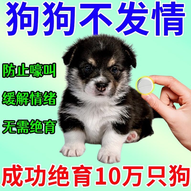 แท็บเล็ต Dogs Love Pets ไม่ยุ่งกับแม่ Universal ป้องกัน Love Suppress แมวเร้าอารมณ์เมตริก Suppress N
