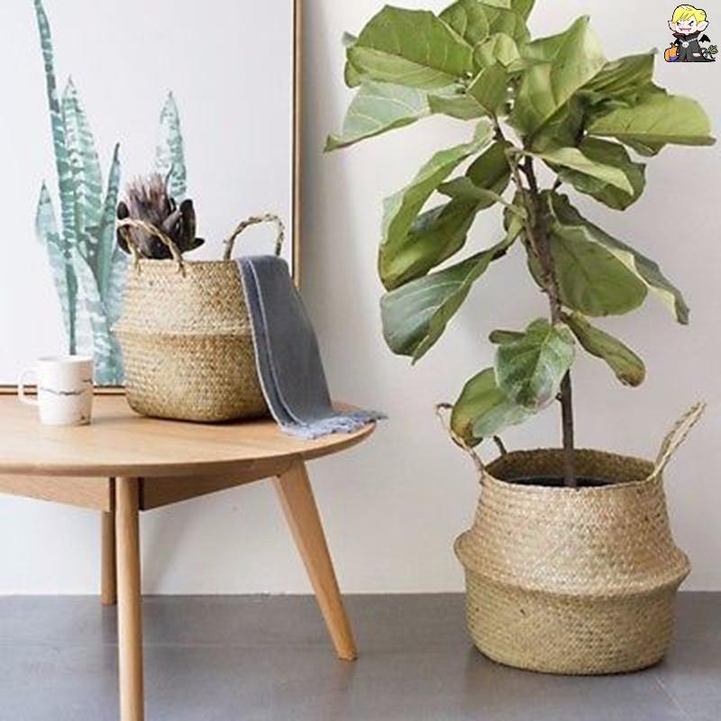 [CLA] Seagrass Belly Basket Storage Plant Pot Folding Nursery Washing Bag Room Decor [TH]