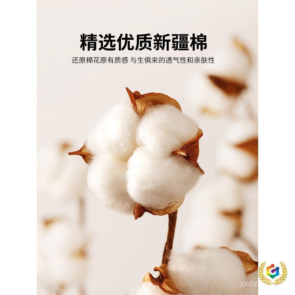 หมอนช่วยนอนหลับหมอนนักเรียนผู้ใหญ่พ่อแม่และลูกผ้าฝ้ายหมอนหมอนเด็กหมอนเดียวแกนหมอนคอสนับสนุนหอพัก bft