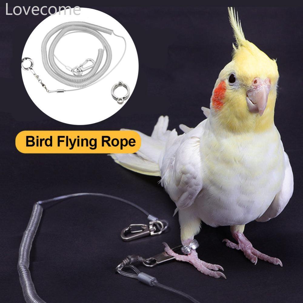 Lovecome 3 M/6 M Parrot Bird Flying Training Leash Ultra-light เชือกยืดหยุ่น Anti-bite ขาแหวนสายรัดก