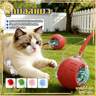 ลูกบอลแมว ลูกบอลมีหาง ของเล่นสําหรับสัตว์เลี้ยง ของเล่นแมวช่วยคลายเครียด เรืองแสง สนุก ทนแรงกัด 360 องศา Type-C