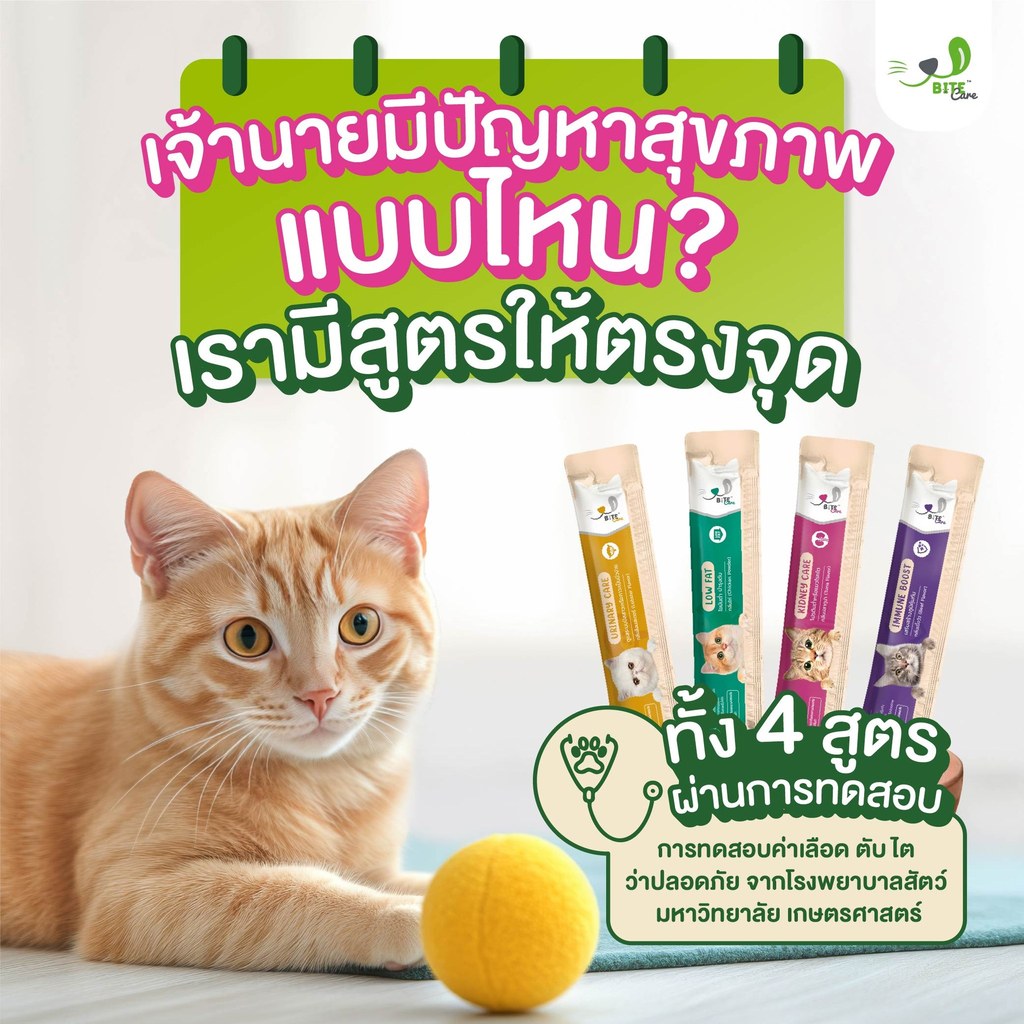 <ยกกล่อง> Bite Care Safety Snack ขนมแมวเลียเพื่อสุขภาพ <30 ซอง x 12g>