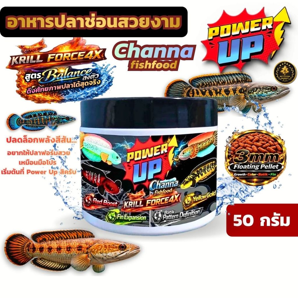 PowerUp Channa อาหารปลาช่อนสูตร Premium: เร่งสี (แดง/เหลือง/เขียว/น้ำเงิน) + เน้นดอกบาติก + ฟินฟอร์มแน่น (50g)