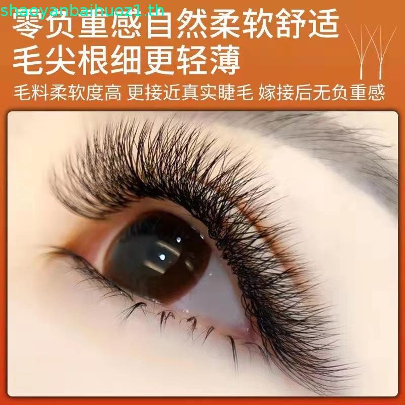 Root Super Soft Blossoming 3d Grafting y Eyelash Fairy Clover ผสม 0.03 แพ็คเดี่ยวเฉพาะขนตาหนา Shop B