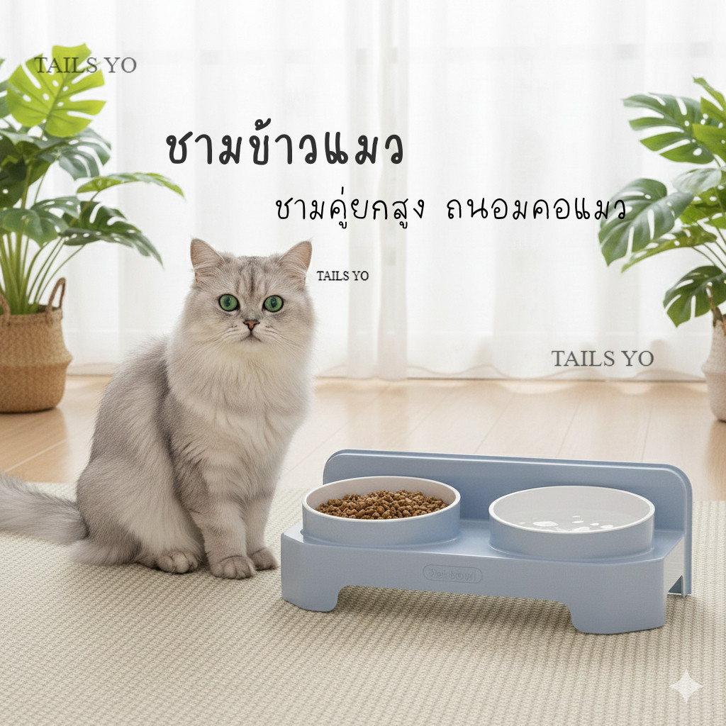 ถ้วยอาหารแมว ชามข้าวแมว 2 หลุม 1 หลุม ยกสูง ถนอมคอ ชามอาหารแมวพร้อมชามน้ำ  ถอดได้ กันกระเด็น NH