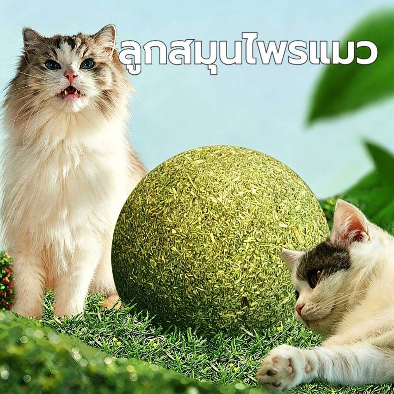 peterxue แคทนิปบอล กัญชาแมว ออร์แกนิค ของเล่นแมว ขนาด 10 ซม.